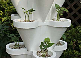 ֲ������